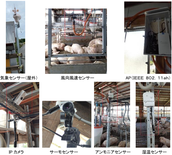 都市型畜産での豚舎における環境対策（温湿度、アンモニア計測）の検証開始