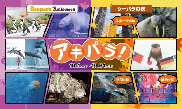 【横浜・八景島シーパラダイス】“ハロウィン”や“秋”をテーマとしたイベントが盛りだくさん！「アキパラ！ 」開催【２０２４年１０月１日（火）～３１日（木）】