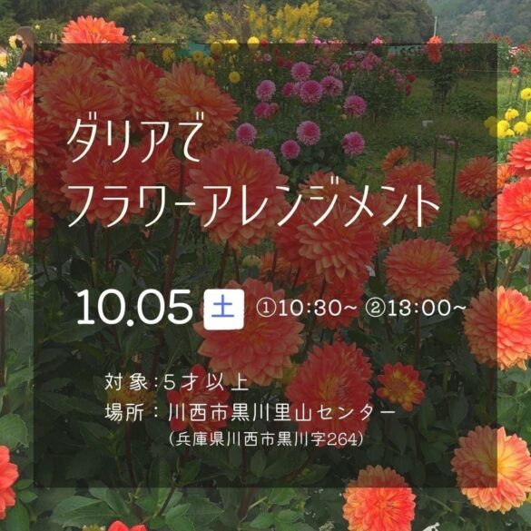 ダリアでフラワーアレンジメント＜兵庫県川西市＞