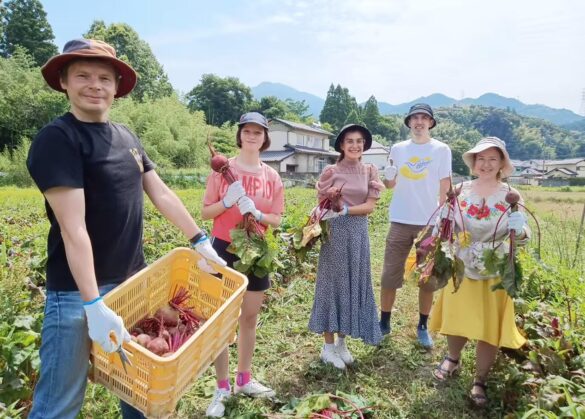 横枕農園のビーツ出荷開始、佐賀県初の自然共生サイト認定エリア内で栽培