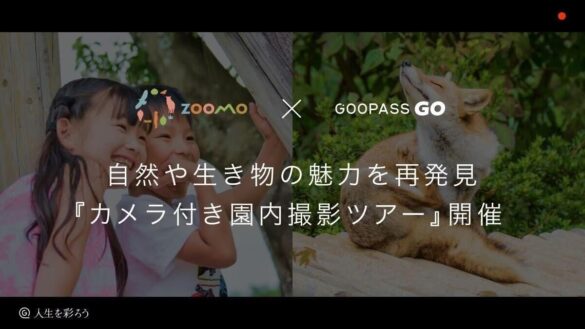 「見る・触る・体験する」を楽しめるアウトドアイベントIWAYAMA HELLO FESTIVAL 2024×GOOPASS GO