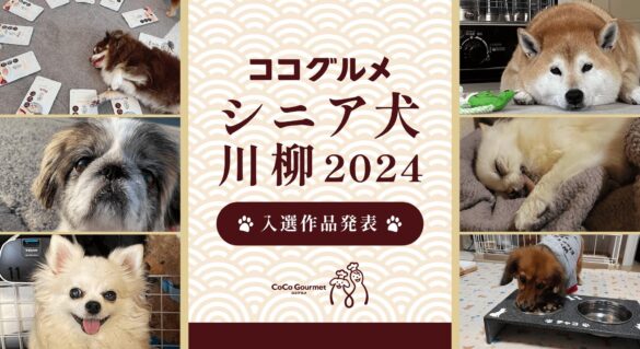 【敬老の日】泣いて笑える「ココグルメ・シニア犬川柳2024」入選作品発表！