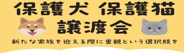 山梨県の綿半店舗にて譲渡会を開催！