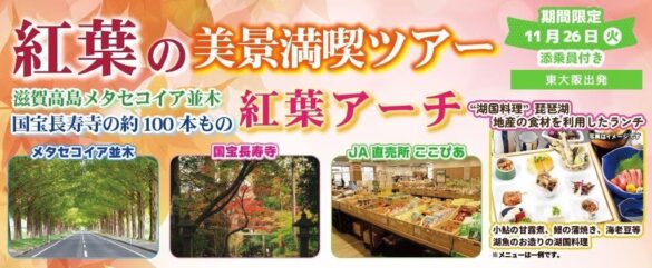 お一人様10,800円！〈東大阪 発着〉11月26日(火) 紅葉の美景満喫ツアー滋賀高島メタセコイア並木国宝長寿寺の約100本もの紅葉アーチ。〈添乗員付き〉日帰りバスツアー