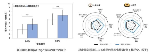 味の素㈱、東京大学、お茶の水女子大学との共同研究で「電気調味料」の技術を開発