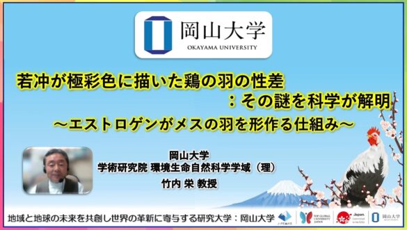 【岡山大学】若冲が極彩色に描いた鶏の羽の性差：その謎を科学が解明 ～エストロゲンがメスの羽を形作る仕組み～