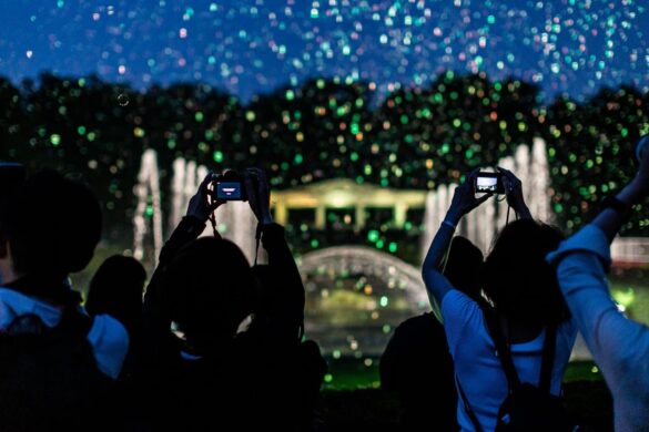 夜空を劇場化する「バブルミネーション」神代植物公園にて実施決定