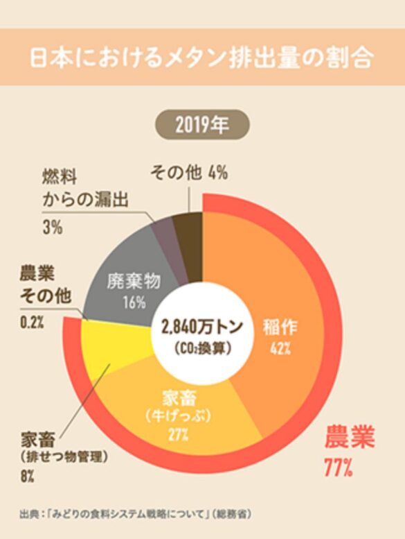 農業廃棄物(もみ殻)利用で、水田メタン発生抑制、
稲の高温対策が可能に