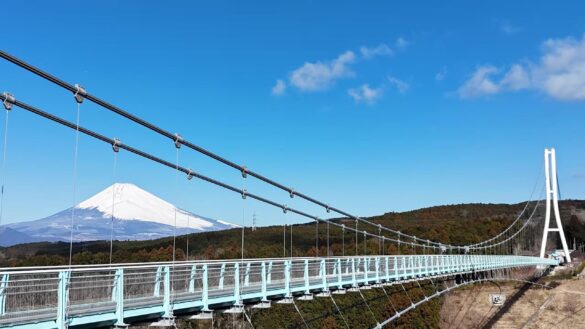 三島の“空”と箱根の“空”をお得に満喫！「三島スカイウォーク×箱根ロープウェイ」共通券を新発売